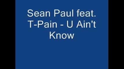 Sean Paul Feat. T - Pain - U Aint Know