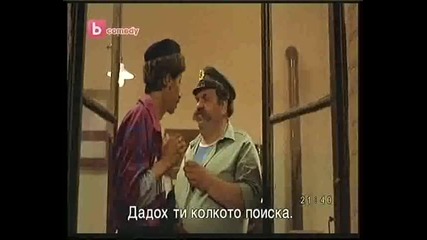 черна котка бял котарак