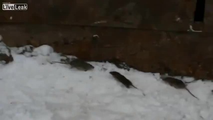 голяма изненада