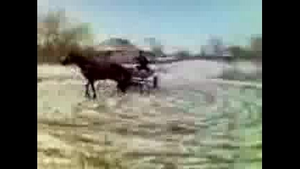 Бесна Каручка