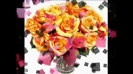 Flowers ~ A Never Ending Dream