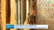 Новините на NOVA | Централна емисия | 3 февруари 2026