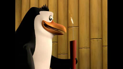 The Penguins Of Madagascar - 6 Webisodes in 1