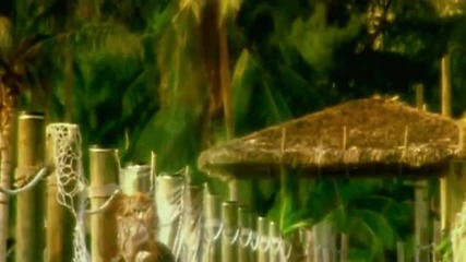 Heat Hunter & The Pleasure Company - Revolution In Paradise Hd