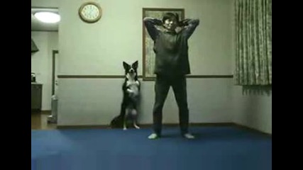 Тренирайте кучето си ето така