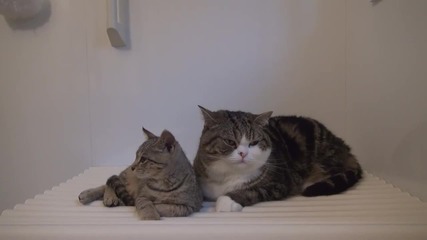 Мару и Хана в банята