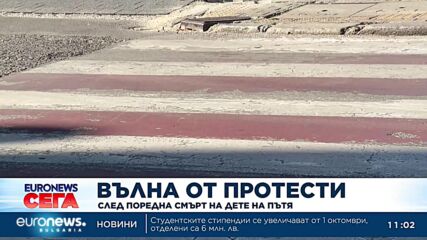 Граждани организират протест пред МВР, искат строги наказания за убийците на пътя