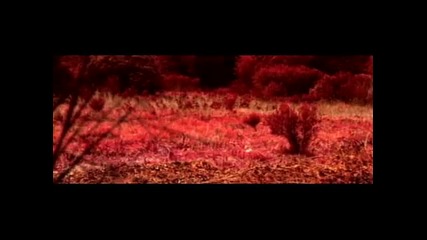 Ximena Sarinana - No Vuelvo Mas [official Music Video]