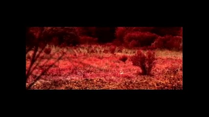 Ximena Sarinana - No Vuelvo Mas [official Music Video]