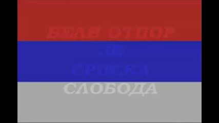 Anti - antifa Srbija