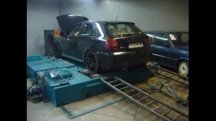 monster performanse
