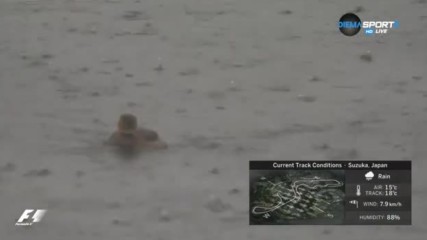 Водоплаваща птица се забавлява на дъждовна Сузука