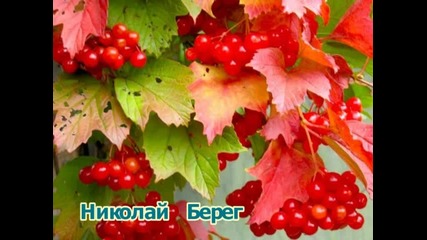 Николай Берег - Калина Красная - Горький Вкус