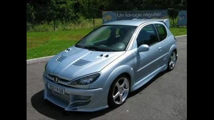 peugeot 206 mika 