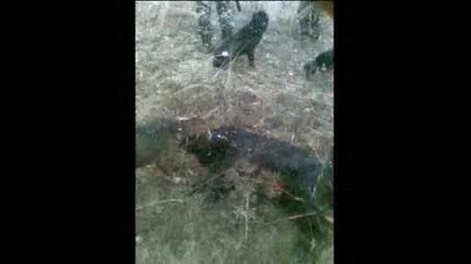 Untitled.wmv