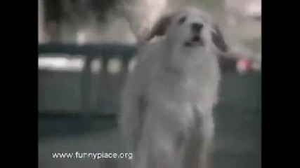 Не всичко е такова, каквото изглежда!