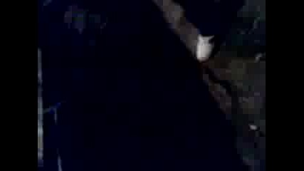 V2255_19-08-11
