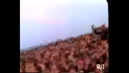 Enter Sandman - Metallica 