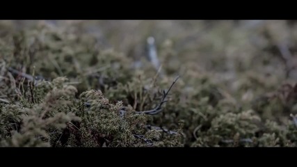Richard Durand - Morning Light (official Music Video)
