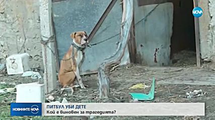 Собственикът на кучето, убило дете - с обвинение