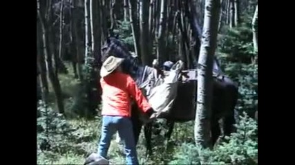 Кон удря човек в главата !