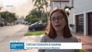 Горски пожари в Маями