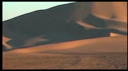 Sting - Desert Rose