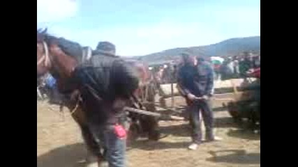 Бойко - Пирдоп 2011