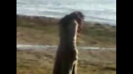 Гордата Аси на снимачната