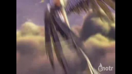 The Story Of The Stork