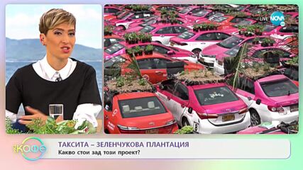 ТАКСИТА - ЗЕЛЕНЧУКОВА ПЛАНТАЦИЯ: Какво стои зад този проект?
