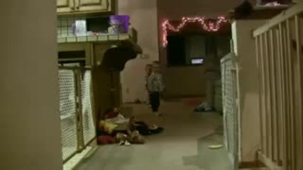 P B Twins Running Crazy 