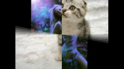 For My Best Friend - Pamsii 