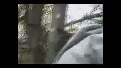 Гавра c 50 Cent и G-Unit