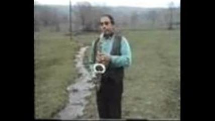 Ziva Dinulovic - Podvrscanski Danc 