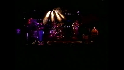 Tribal tech - 1990-elvis at the