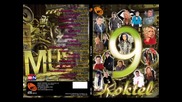 KOKTEL 9 - Rade Jorovic - Djavolasto sjeme - BN Music 2013