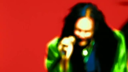 Korn_-_got_the_life