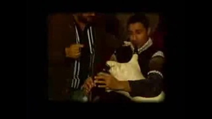 danko maraz