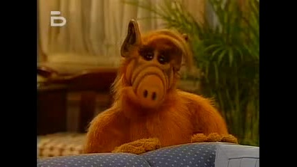 Alf S03e18 - Standing in the Shadows of Love