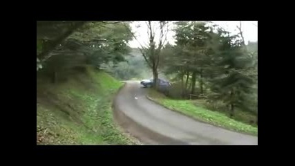 Спортна кола направи близка среща с дърво 