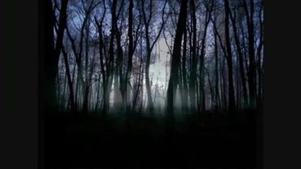 Ryan Farish - Night wind 