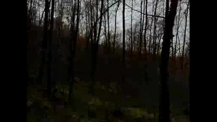 12042b009029.avi