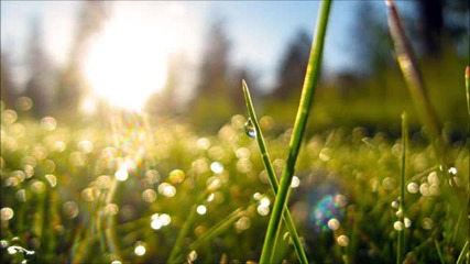 Peter K - Morning Dew (original Mix)