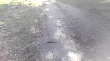 Vid_20160628_074224