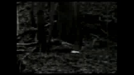 Dolores O Riordan & Angelo Badalamenti - The Butterfly