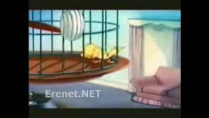 Tom And Jerry