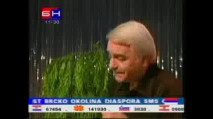 Кръчмарице