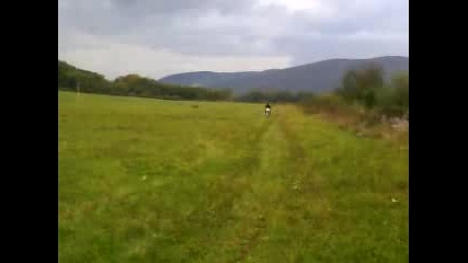 Cz 250 513 cross