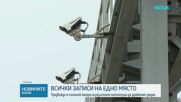 Спешни мерки за безопасност: Възможна ли е подмяната на мантинелите преди далечната 2034 г.